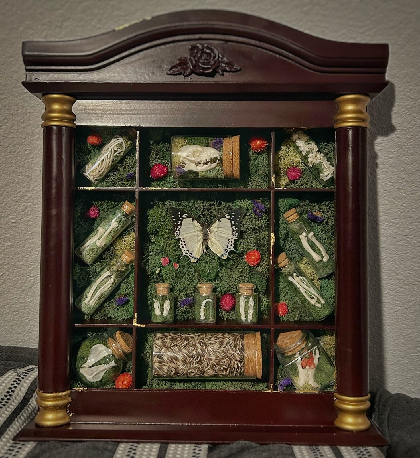Arched wooden cabinet with gold columns; its moss-lined compartments hold corked bottles of small bones, a butterfly, a jar of quills, and dried orange and purple flowers.
