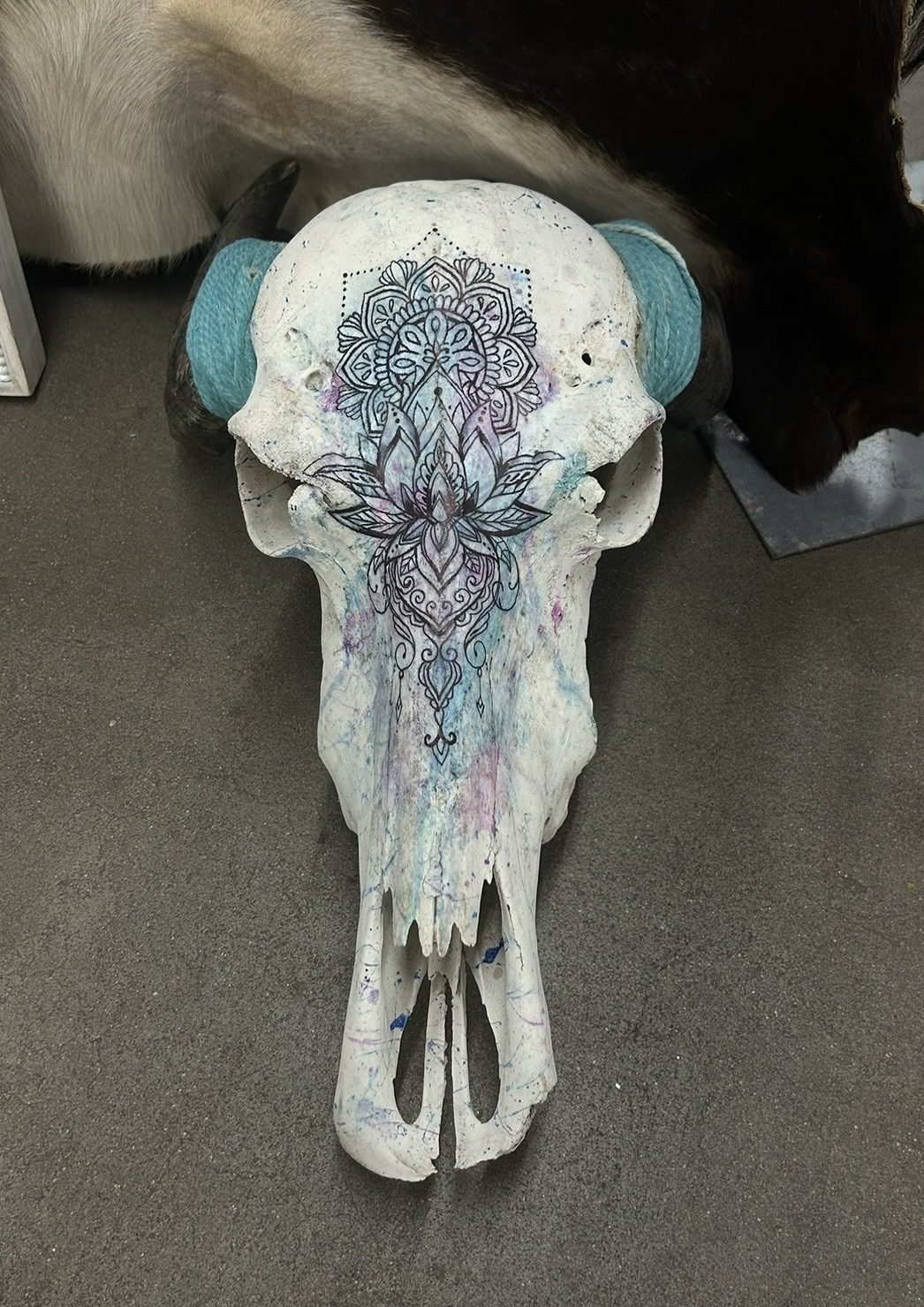 A painted skull: white, with a blue and purple mandala across the brow and turquoise-capped horn bases.
