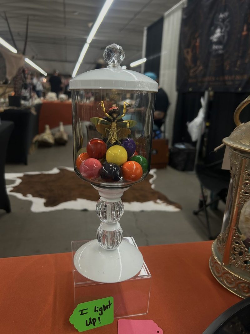 A lidded glass apothecary jar on a white pedestal holding a preserved winged insect above colored glass balls, on a booth table at the World Oddities Expo.