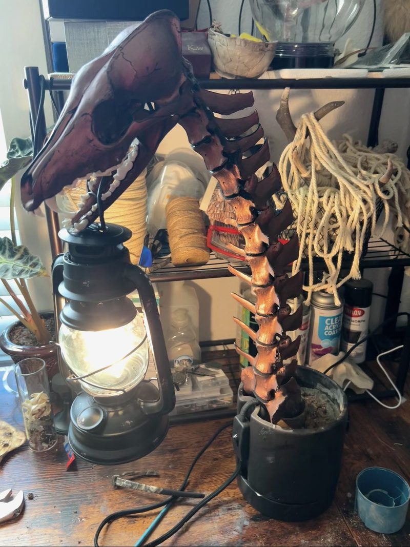 An articulated animal skull and spine, stained deep red-brown, rising from a black base beside a glowing lantern.