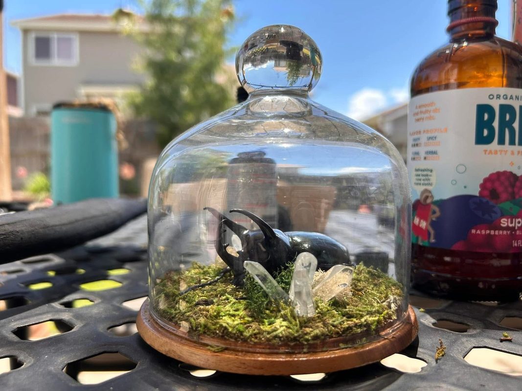 A glass cloche on a wooden base with moss, a small black and white figure and a clear crystal inside, outdoors in the sun.