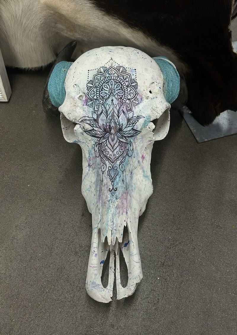 A painted skull: white, with a blue and purple mandala across the brow and turquoise-capped horn bases.