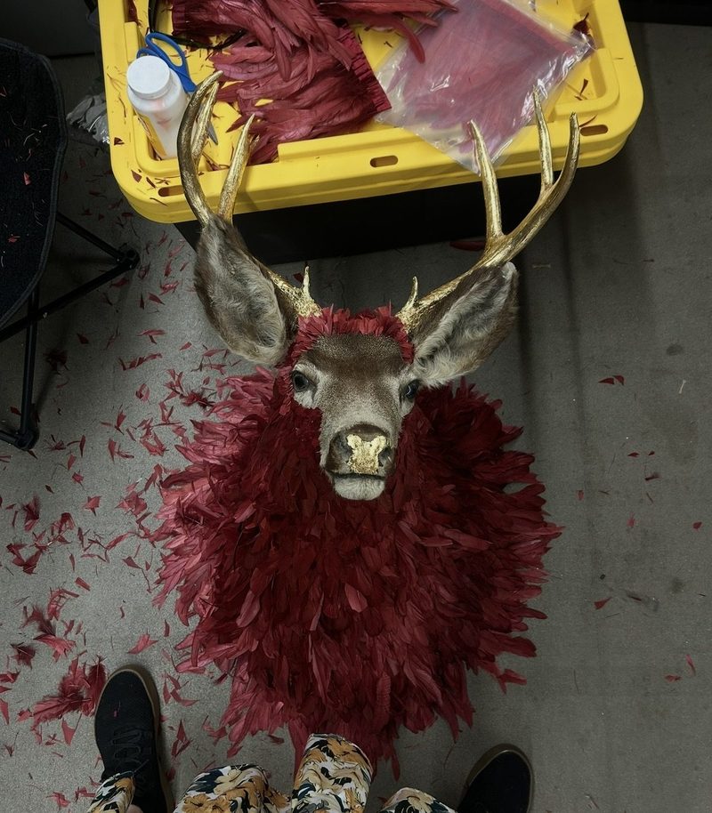 A deer shoulder mount with antlers, wearing a collar of deep red feathers, photographed mid-build.