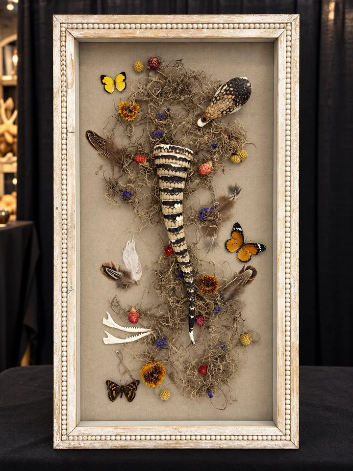 A tall white beaded frame holding a banded tapering tail, a patterned snake head, butterflies, feathers, two small jawbones and dried flowers arranged over Spanish moss on linen.