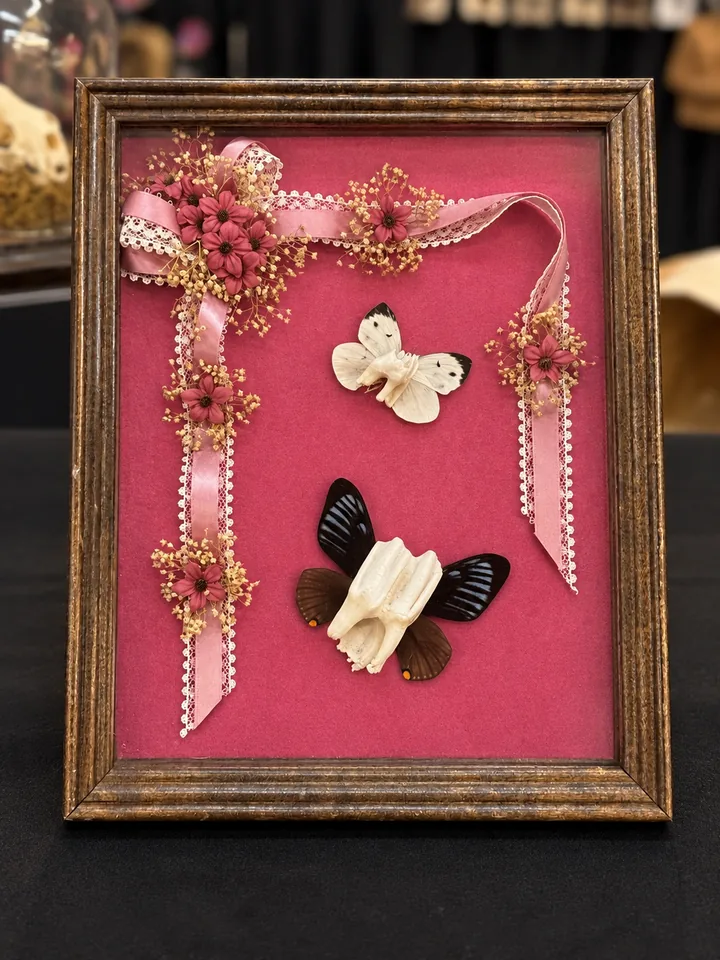 A wooden frame with a deep pink backing: two bones given butterfly wings, one pair white and one pair dark, under a pink ribbon trimmed with lace, pink flowers and dried baby's breath.