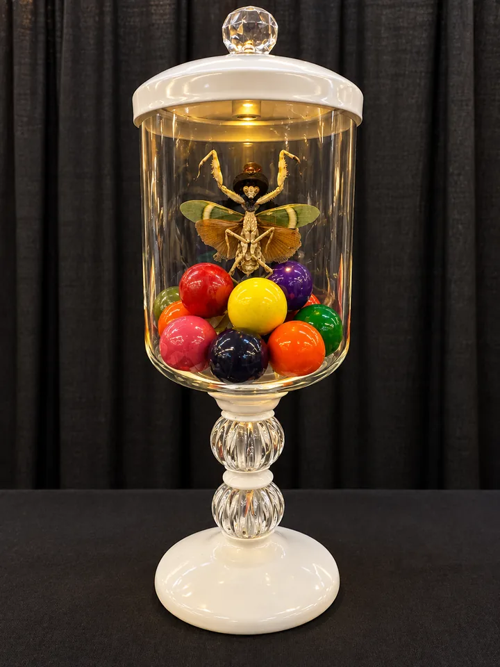 A mantis with spread green and tan wings, wearing a tiny black top hat, above bright colored balls inside a lit glass apothecary jar on a white pedestal.